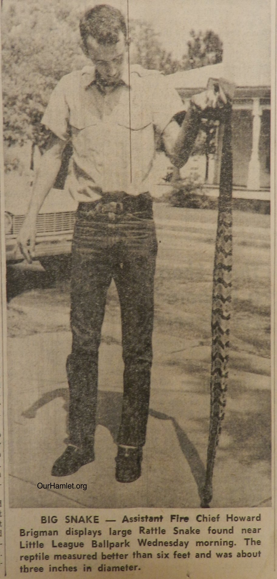 1965 Howard Brigman and snake OH.jpg